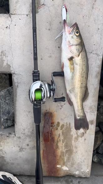 海钓路亚能路什么鱼(海钓路亚鱼种)