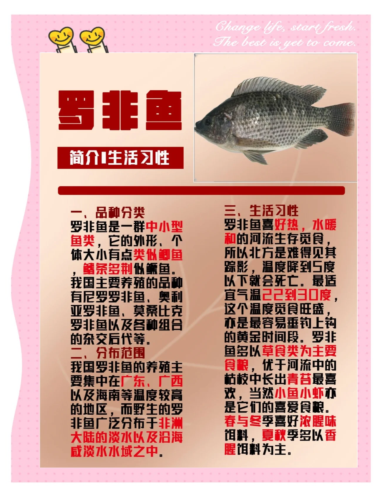 买渔具注意事项(购买渔具要选什么日子)