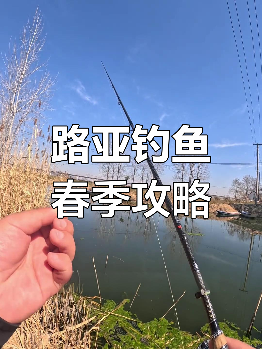 早春路亚技巧(早春路亚窗口期)