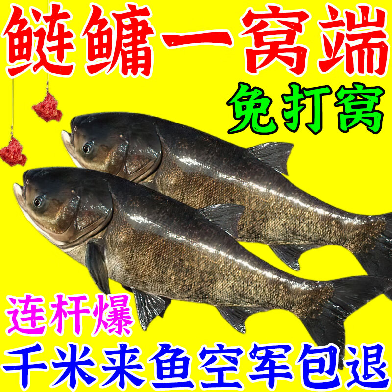 钓胖头鱼怎么自制饵料(钓胖头鱼怎么自制饵料视频) 钓胖头鱼怎么自制饵料(钓胖头鱼怎么自制饵料视频)