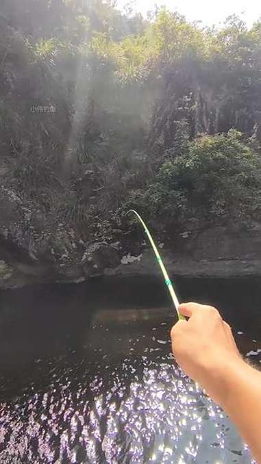 小溪野钓技巧(小溪流怎么钓鱼)