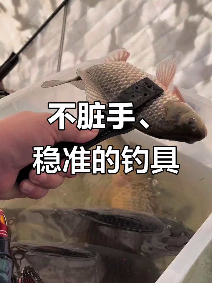 抓钩抓鱼技巧(钓鱼抓鱼技巧视频)