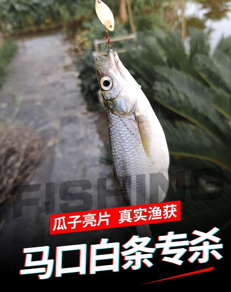 玫瑰花饵料(玫瑰花钓鱼小药制作)