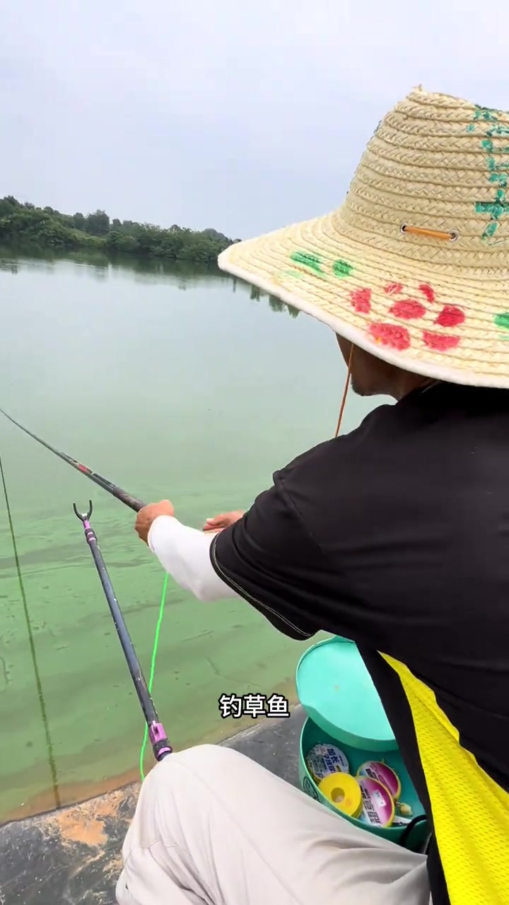 水库钓草鱼的技巧(水库钓草鱼的技巧图解) 水库钓草鱼的技巧(水库钓草鱼的技巧图解)