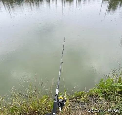清明节钓鲫鱼技巧(清明节如何钓鲫鱼) 清明节钓鲫鱼技巧(清明节如何钓鲫鱼)