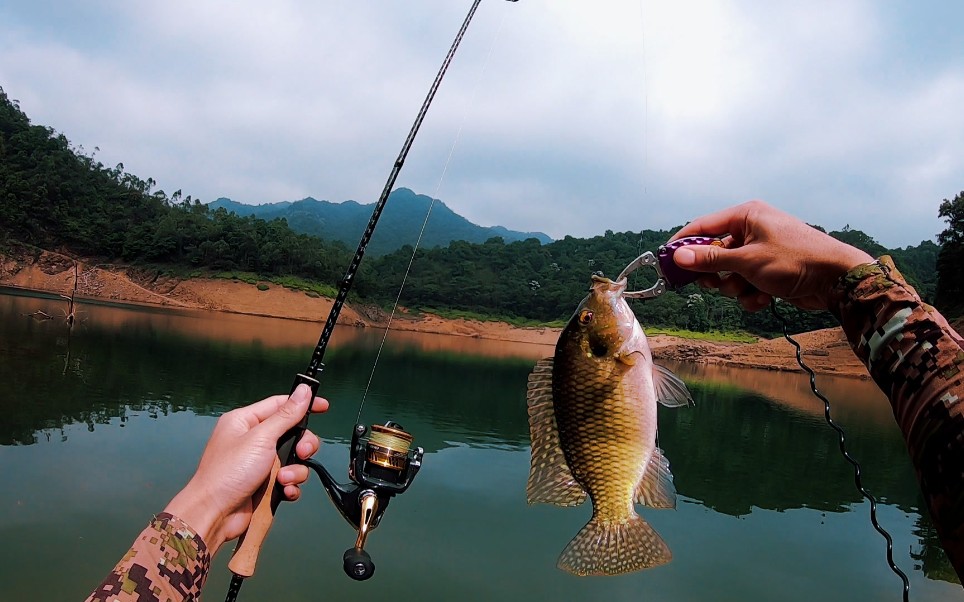 路亚水库(路亚水库钓翘嘴用什么饵) 路亚水库(路亚水库钓翘嘴用什么饵)