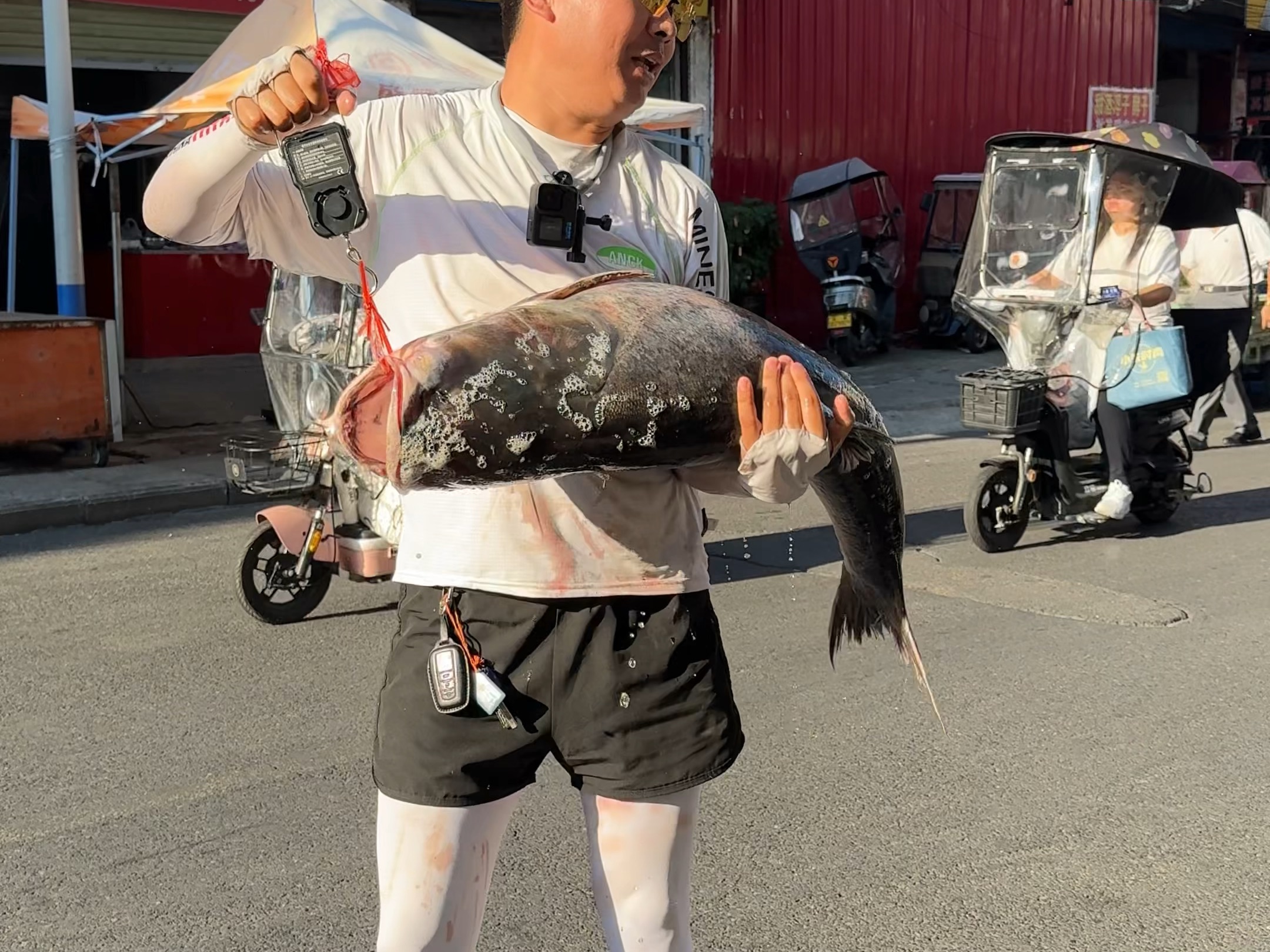 流水浮钓鲢鳙技巧(流水鲢鳙钓法)