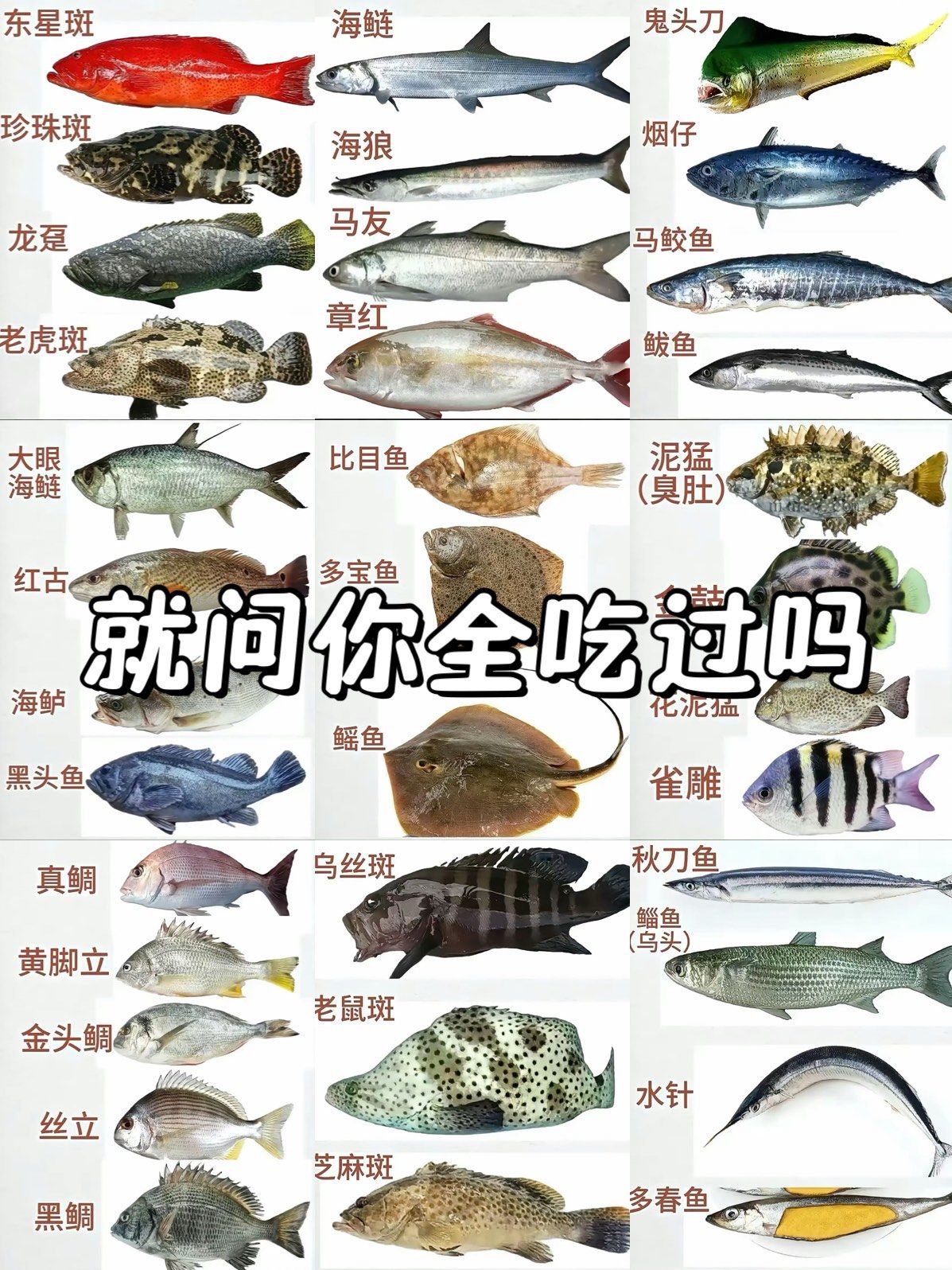 海钓各季节鱼种(海钓几月份不适合钓鱼)