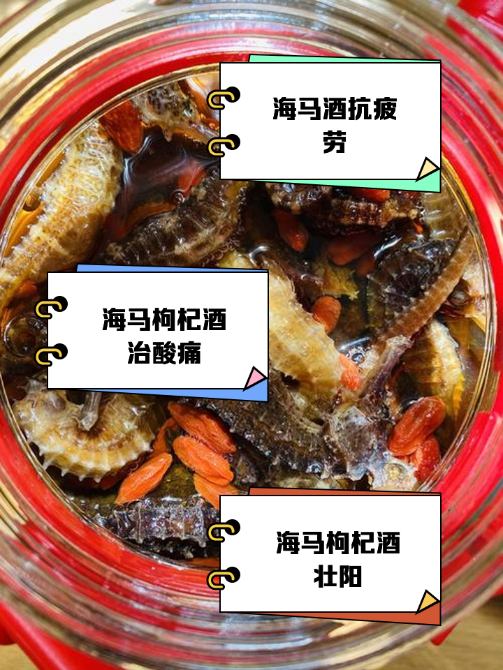 海钓饵用酒泡(酒泡饵料用什么料) 海钓饵用酒泡(酒泡饵料用什么料)
