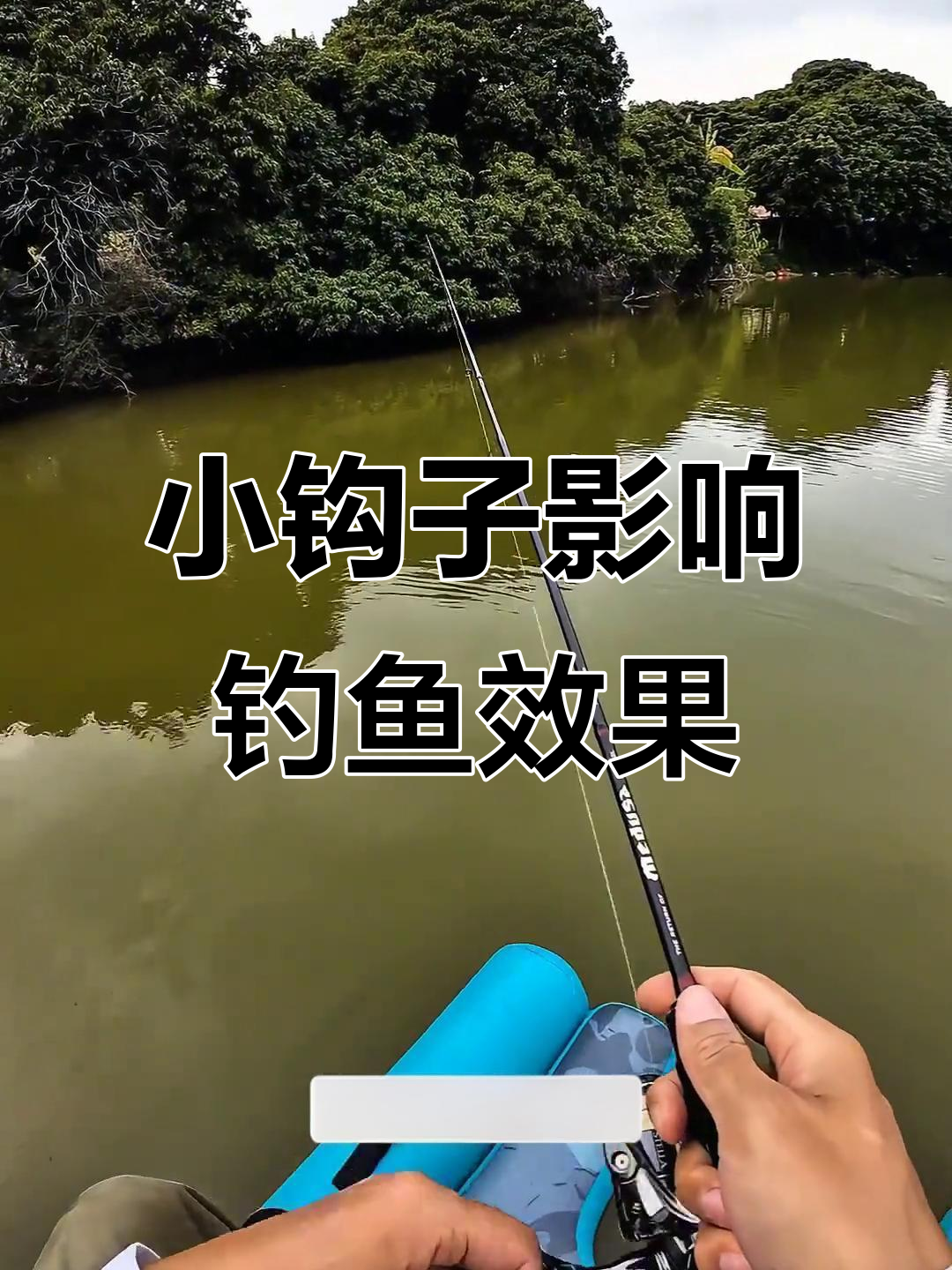 钓鲈鱼技巧饵料配方(钓鲈鱼的最佳饵料) 钓鲈鱼技巧饵料配方(钓鲈鱼的最佳饵料)