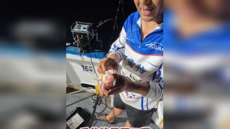 国内海钓节目(国内海钓节目排行榜)