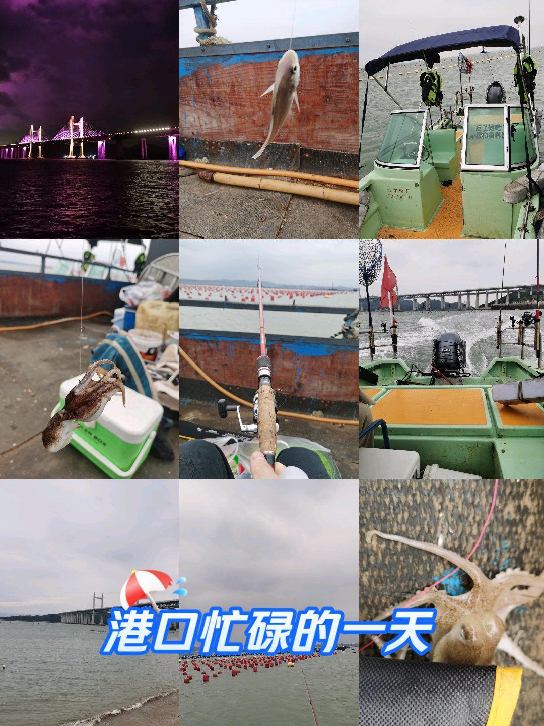 塘沽海钓点(塘沽海钓点路线图) 塘沽海钓点(塘沽海钓点路线图)