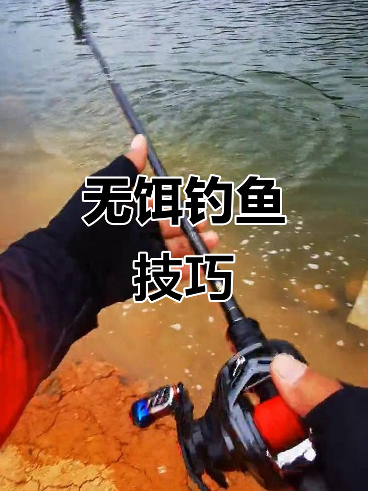 假饵钓鱼技巧视频(假饵怎么钓鱼视频) 假饵钓鱼技巧视频(假饵怎么钓鱼视频)