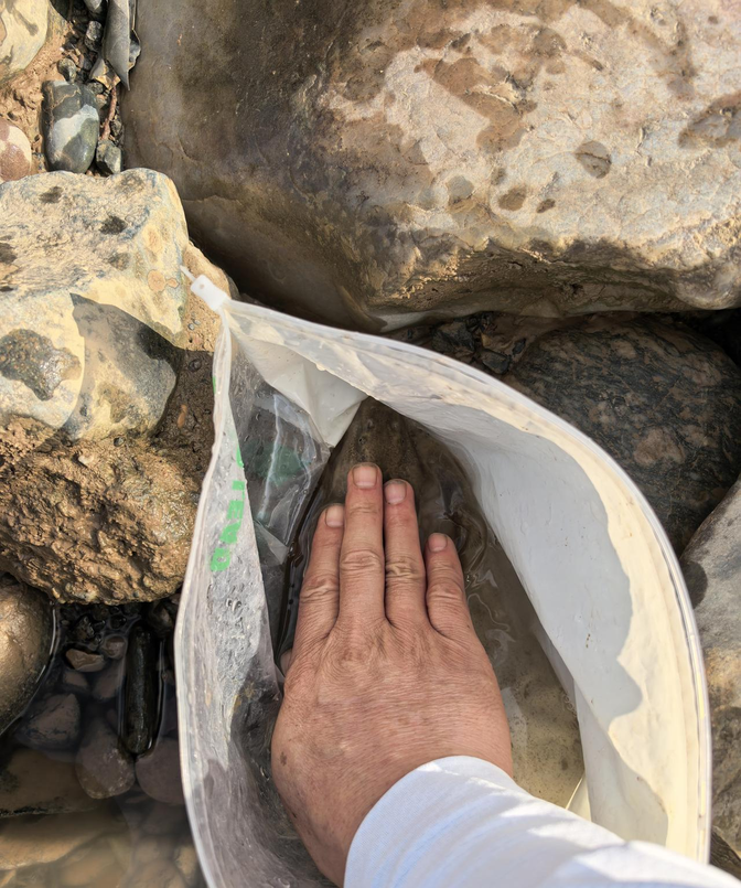 用牛奶拌钓鱼饵料好吗(用牛奶钓鱼行吗) 用牛奶拌钓鱼饵料好吗(用牛奶钓鱼行吗)