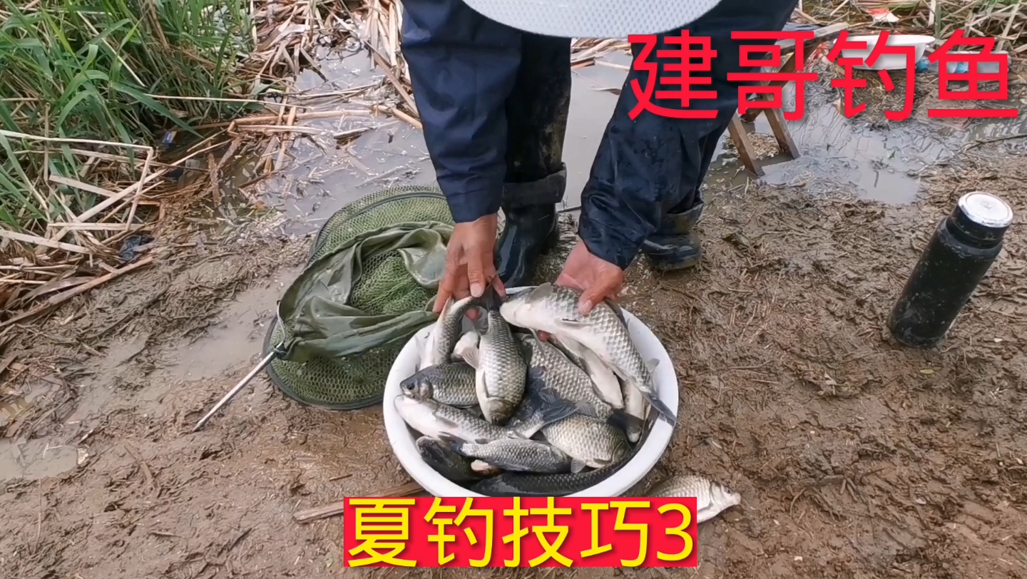 初夏野河台钓技巧(解决夜钓无口的技巧) 初夏野河台钓技巧(解决夜钓无口的技巧)