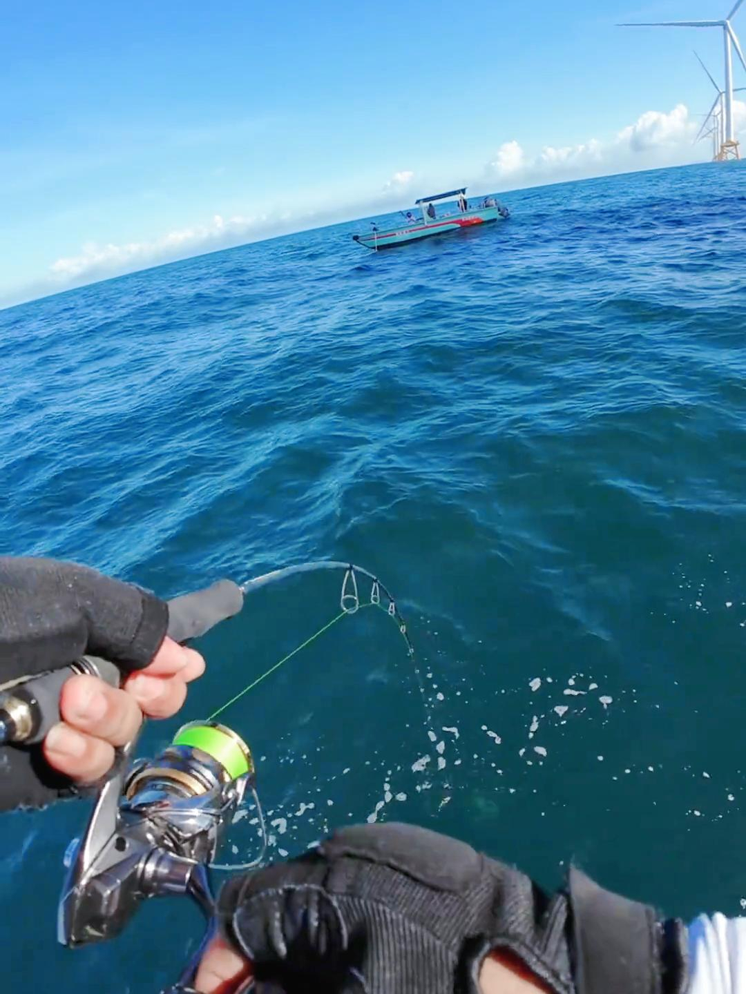 铁板海钓什么鱼(铁板能钓海鲈吗) 铁板海钓什么鱼(铁板能钓海鲈吗)