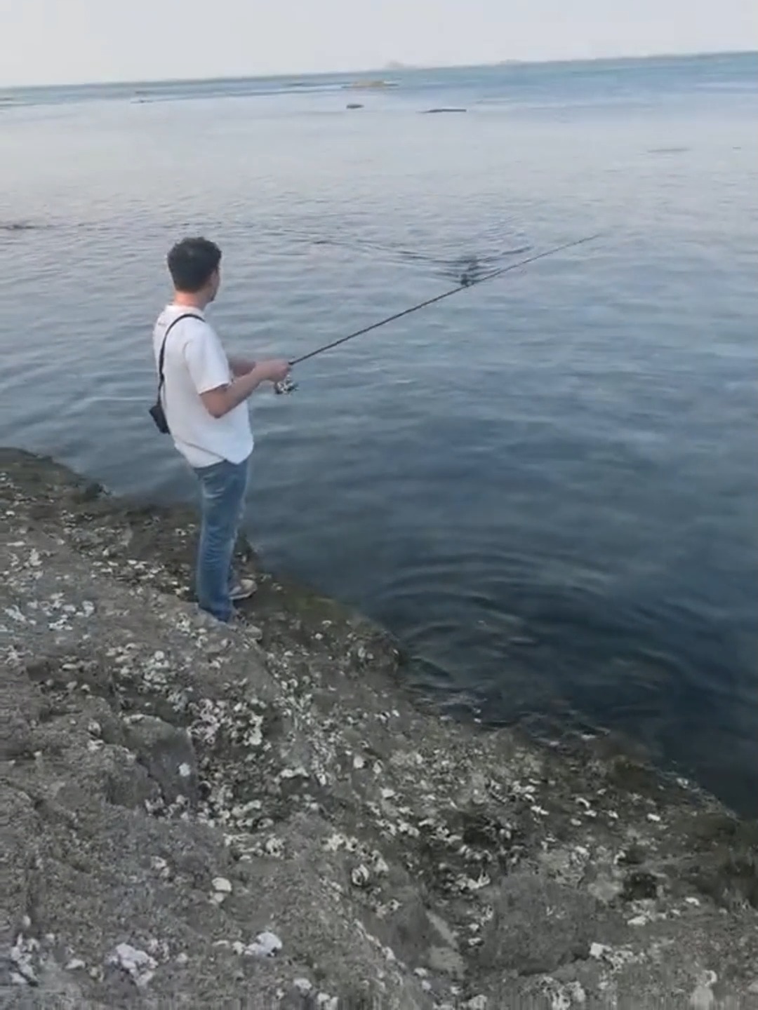 海钓钓鱼图片真实(海钓钓鱼图片真实大全) 海钓钓鱼图片真实(海钓钓鱼图片真实大全)