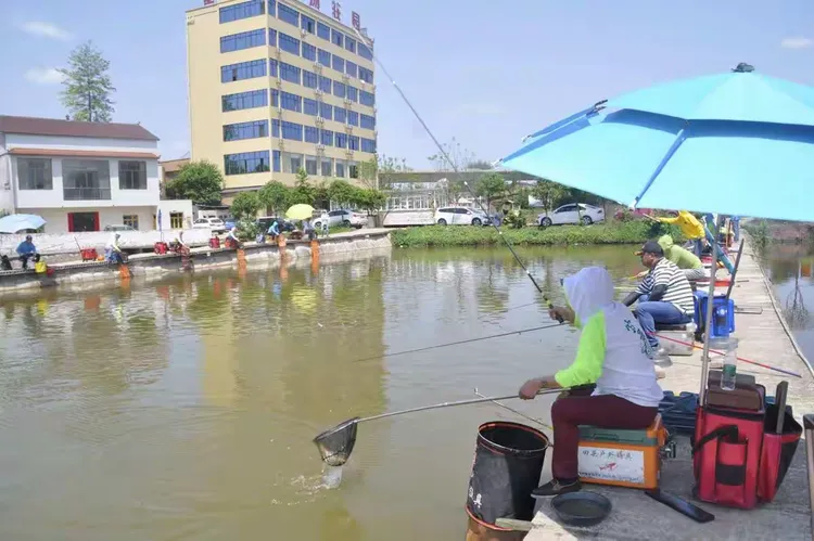 自贡最好的渔具店(口碑最好的渔轮品牌大全)