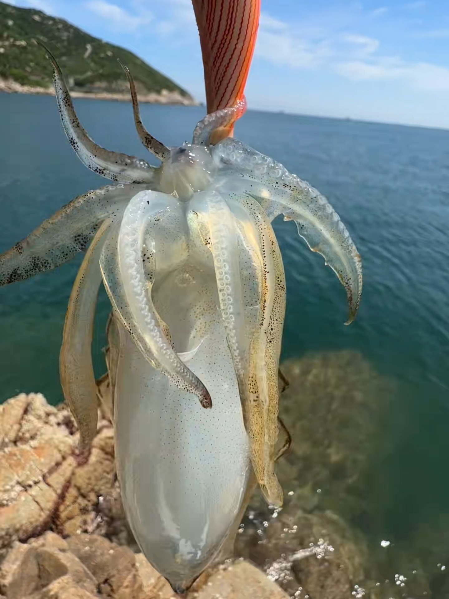 珠海钓鱼场前十名(珠海钓鱼好地方)