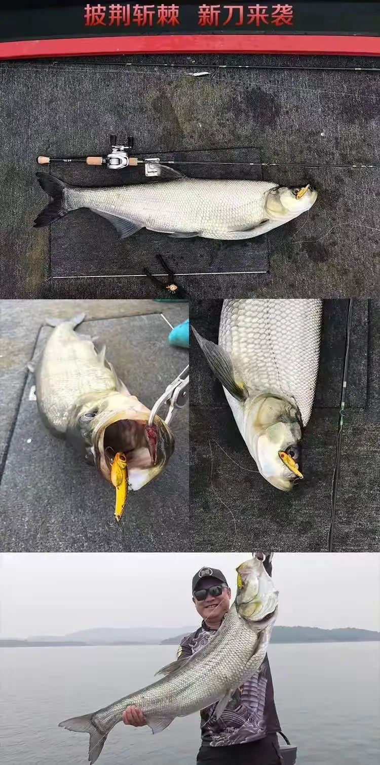 大河路亚李海洋(大河之路路亚)