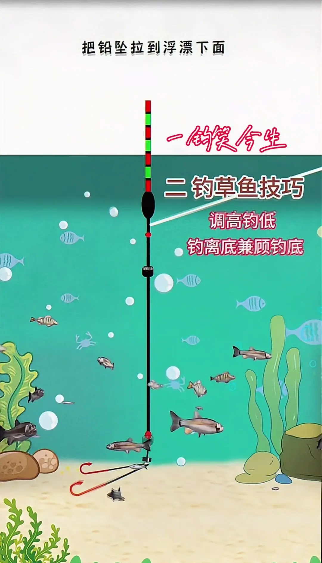 钓鲫鱼拉钩技巧(钓鲫鱼拉饵手法技巧视频教程) 钓鲫鱼拉钩技巧(钓鲫鱼拉饵手法技巧视频教程)