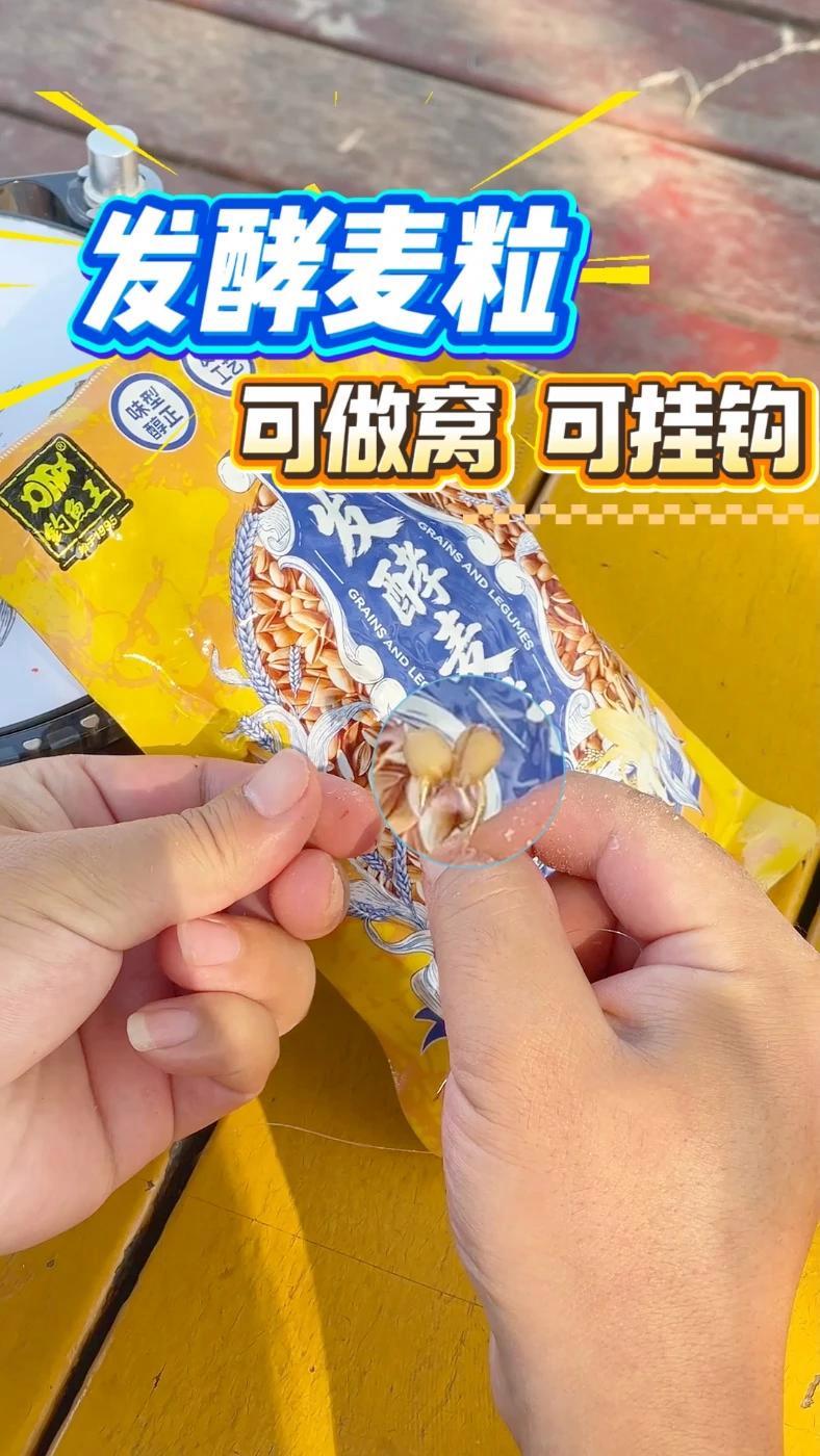 饵料如何发酵变酸(饵料发酵变酒味好钓鱼吗?) 饵料如何发酵变酸(饵料发酵变酒味好钓鱼吗?)