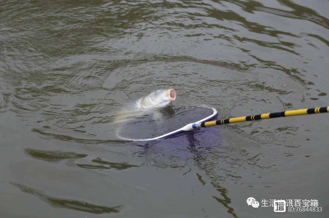 夜钓黑坑技巧6(夜钓黑坑技巧全攻略)