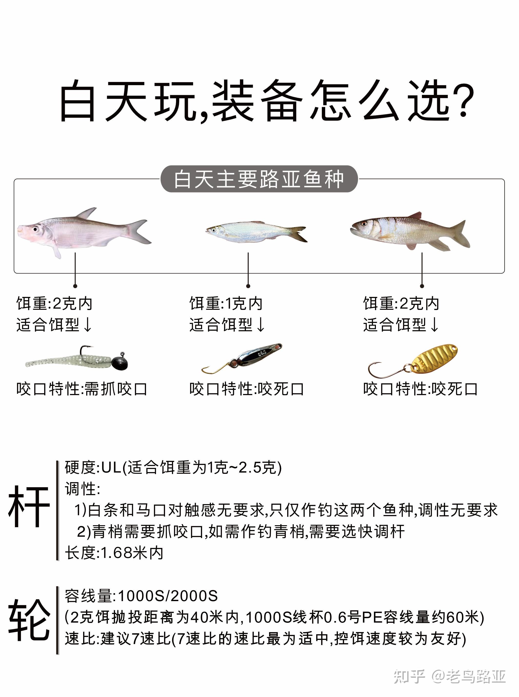 白条路亚几点(路亚白条早上几点?)