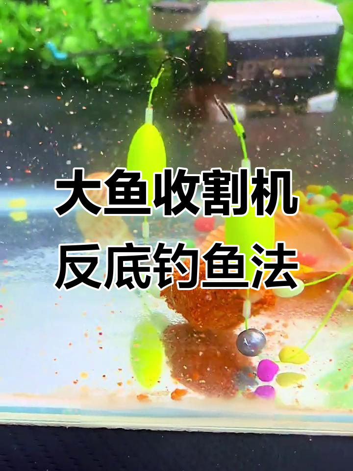 海钓爆炸钩怎么用(海钓爆炸钩怎么用最好) 海钓爆炸钩怎么用(海钓爆炸钩怎么用最好)