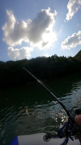 路亚竿水库(水库路亚竿推荐) 路亚竿水库(水库路亚竿推荐)