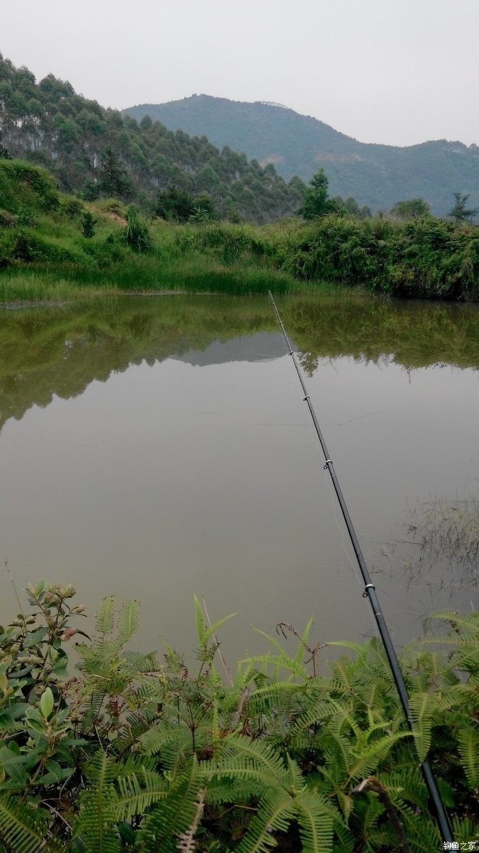 路亚竿水库(水库路亚竿推荐) 路亚竿水库(水库路亚竿推荐)