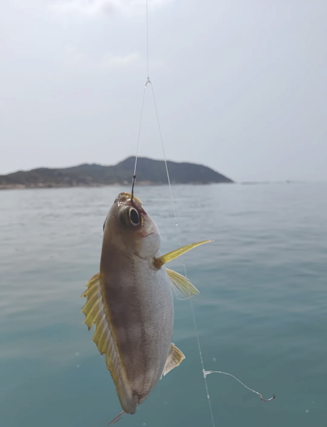海钓白眼视频(白眼钓法) 海钓白眼视频(白眼钓法)