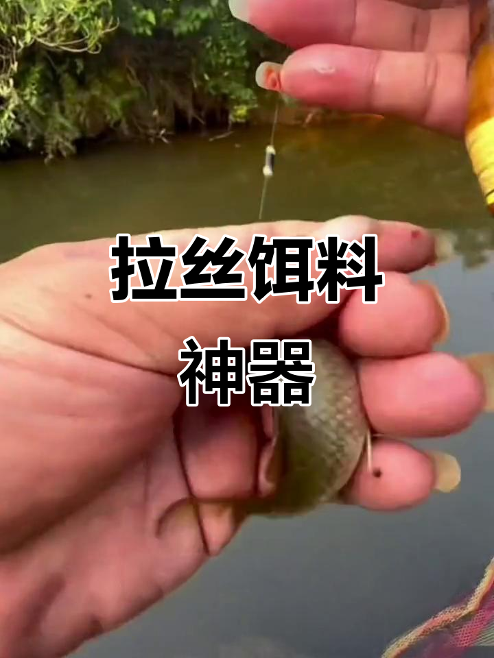 有哪些收水饵料(饵料收纳用什么好) 有哪些收水饵料(饵料收纳用什么好)