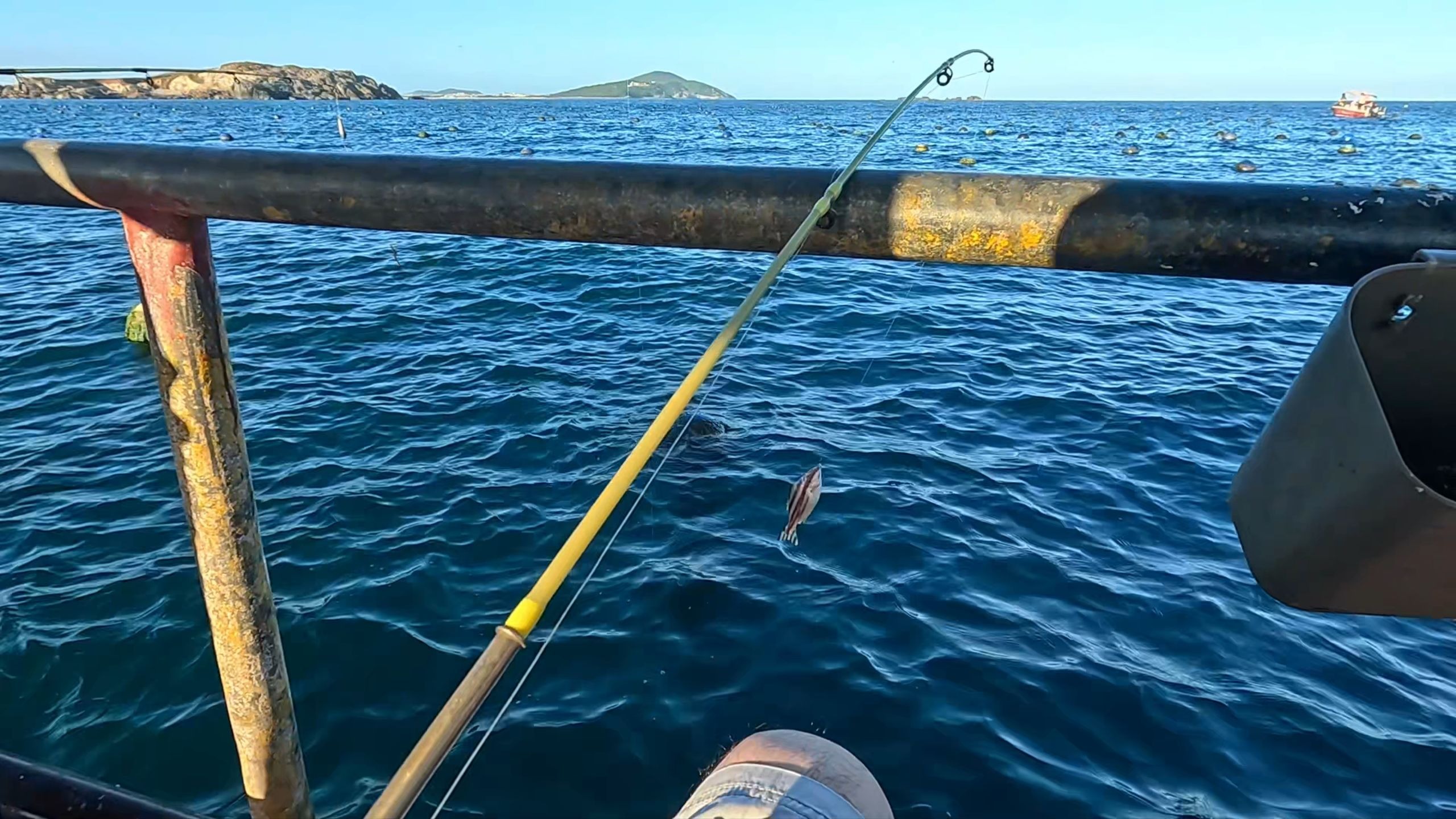 平潭出海海钓电话(平潭岛海钓联系方式) 平潭出海海钓电话(平潭岛海钓联系方式)