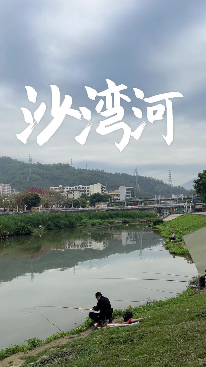 沙湾钓鱼技巧(沙湾河钓鱼) 沙湾钓鱼技巧(沙湾河钓鱼)