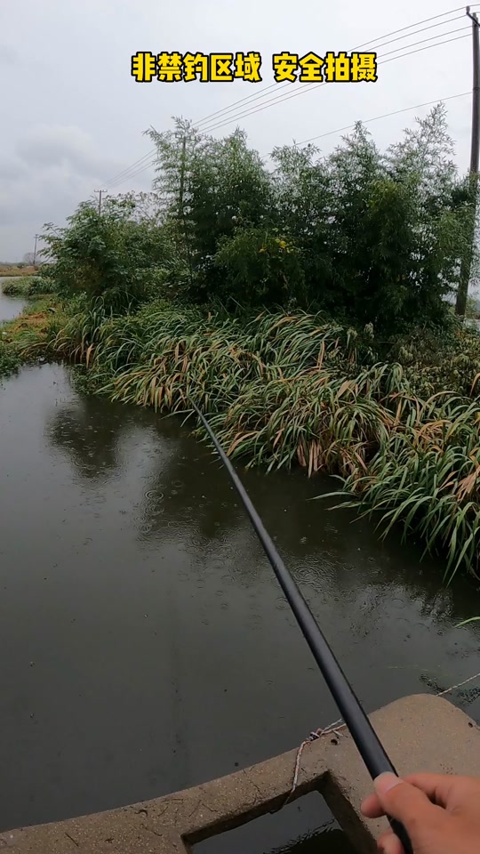 南方水库春钓鲫鱼技巧(南方水库冬天钓鲫鱼选位置) 南方水库春钓鲫鱼技巧(南方水库冬天钓鲫鱼选位置)