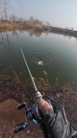 海口冬天路亚(海南海边路亚用什么饵) 海口冬天路亚(海南海边路亚用什么饵)