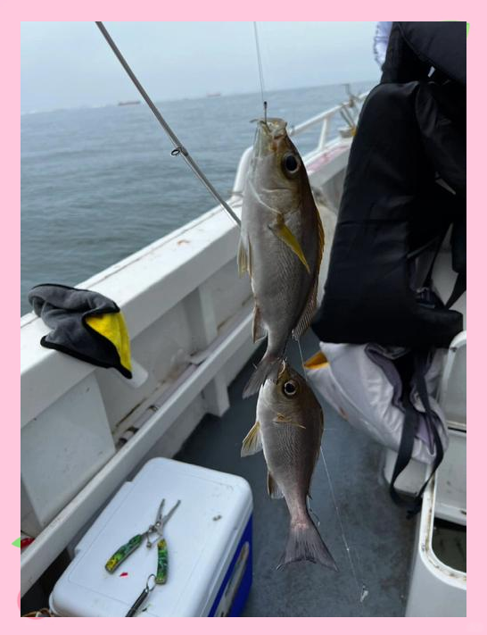 钓鱼深圳海钓(深圳 海边钓鱼) 钓鱼深圳海钓(深圳 海边钓鱼)