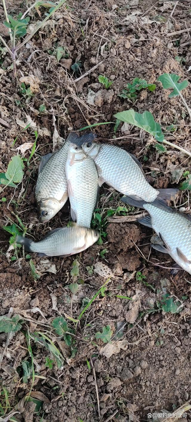 二郎河沟钓鱼技巧(二郎沟景区怎么样) 二郎河沟钓鱼技巧(二郎沟景区怎么样)