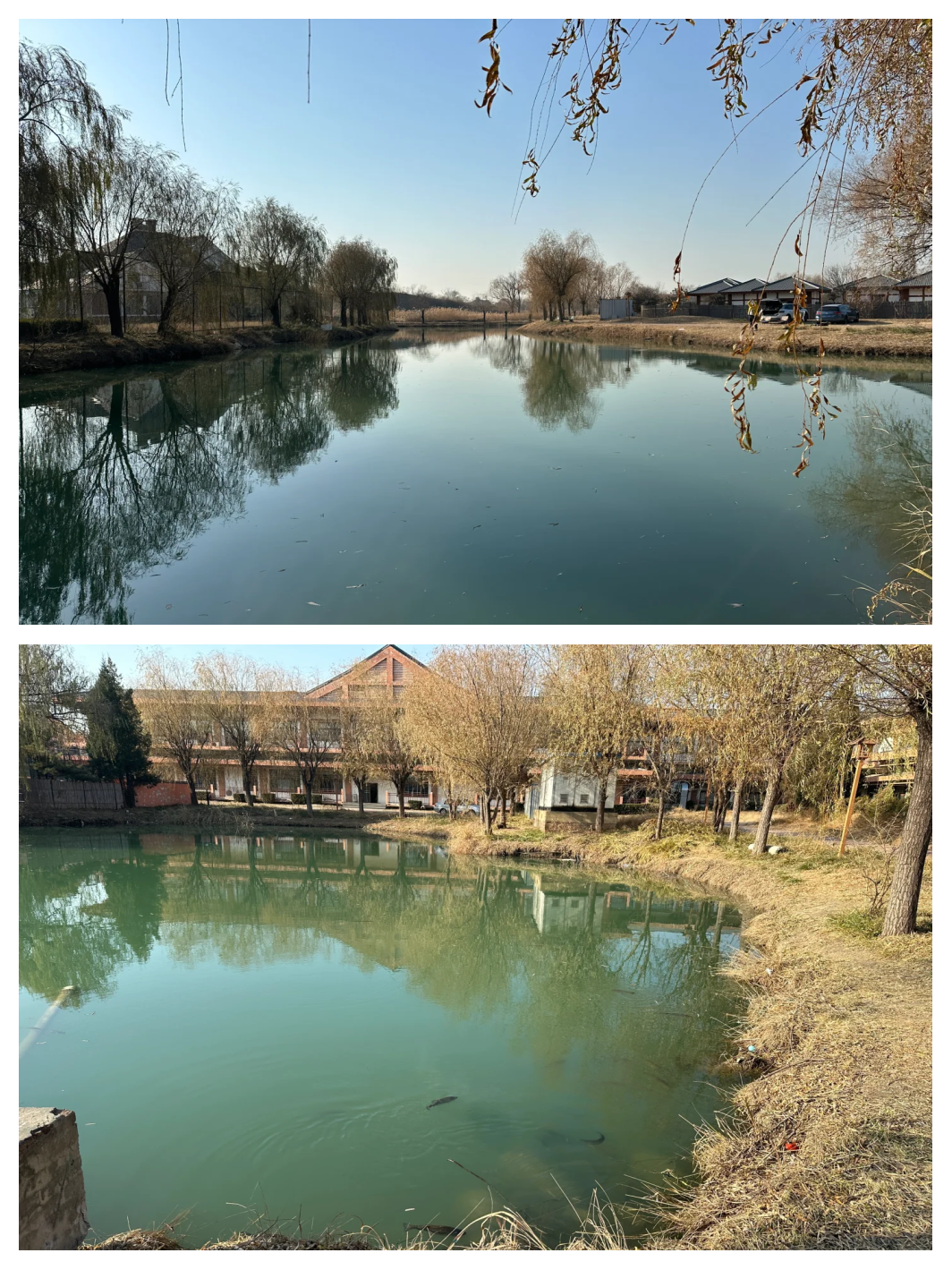 江边冬天路亚(冬季长江路亚) 江边冬天路亚(冬季长江路亚)