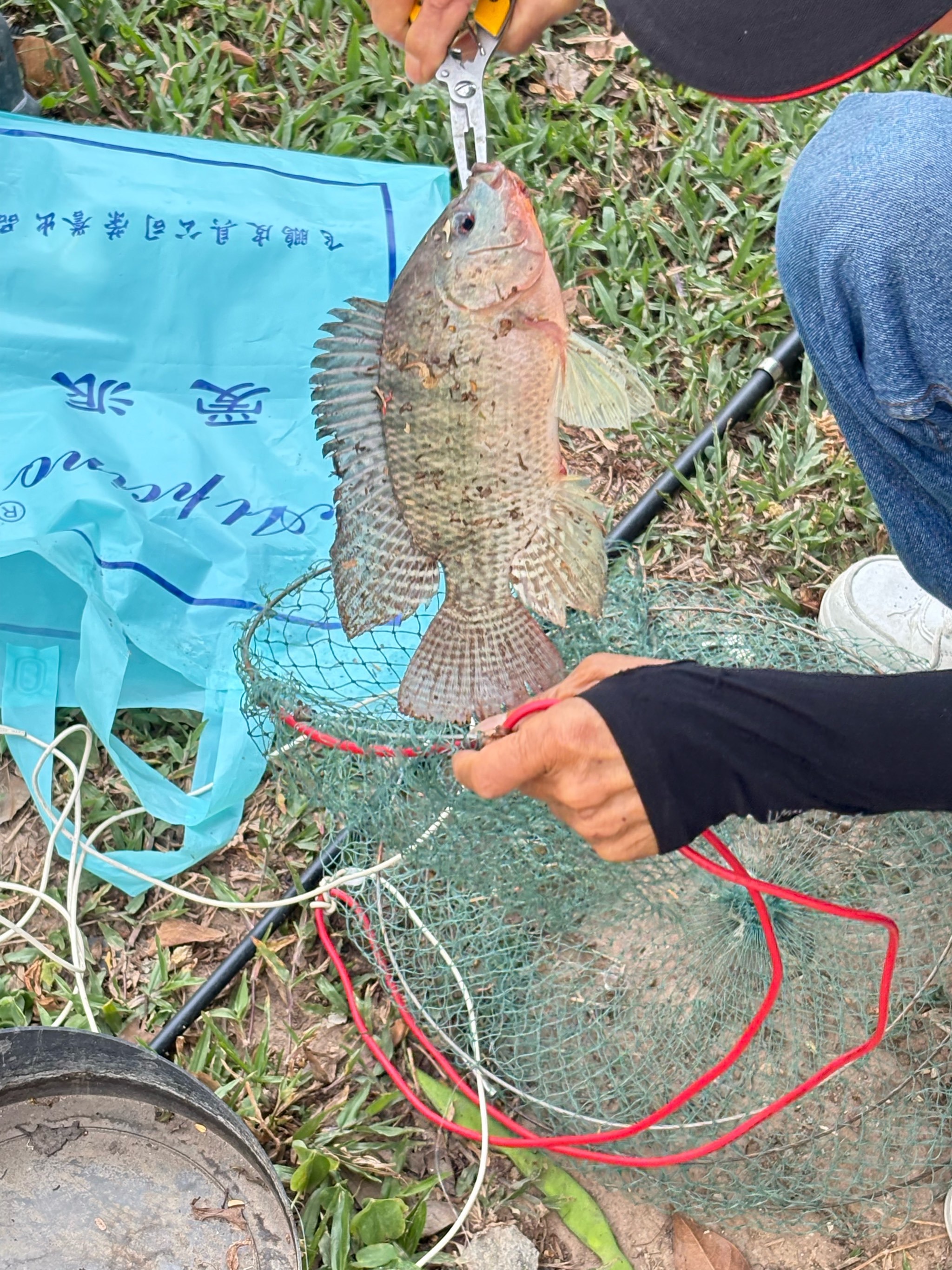 东莞海钓微信群(东莞海钓地点推荐) 东莞海钓微信群(东莞海钓地点推荐)