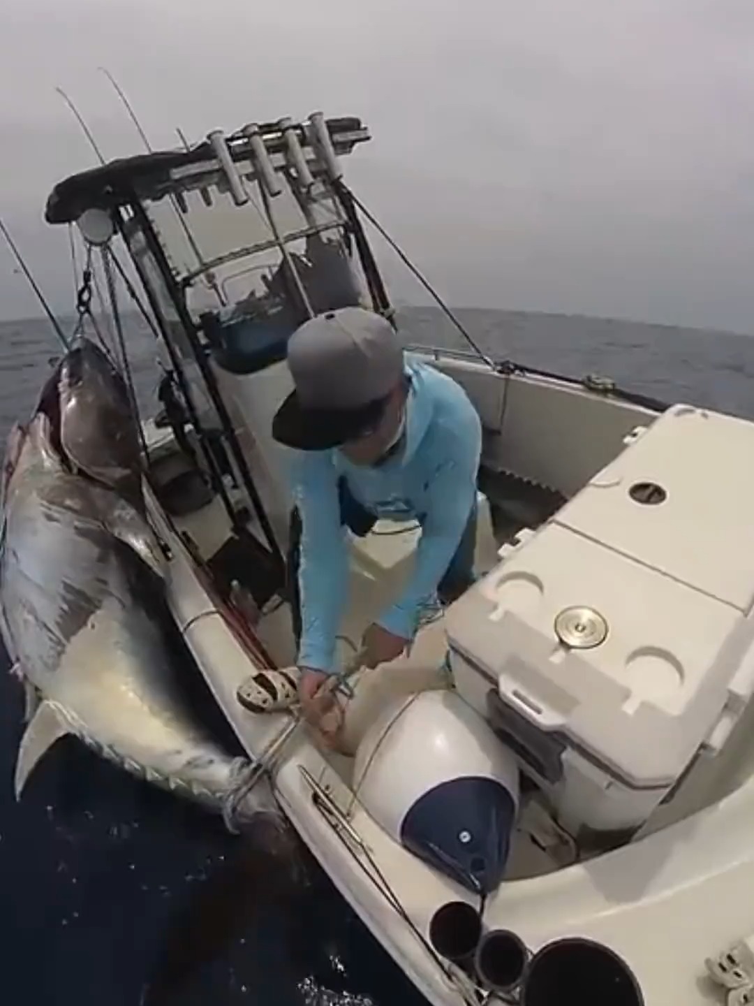 宝岛渔很大海钓(小型海钓船价格) 宝岛渔很大海钓(小型海钓船价格)