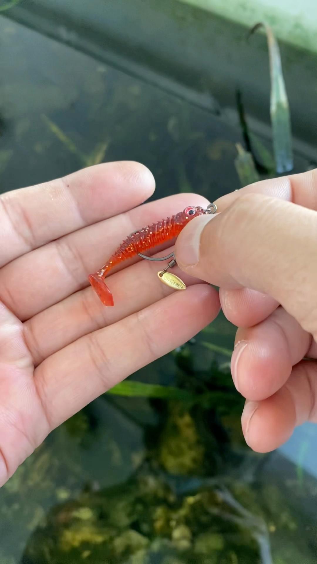 路亚挂底怎么办(路亚挂底怎么办才好用) 路亚挂底怎么办(路亚挂底怎么办才好用)