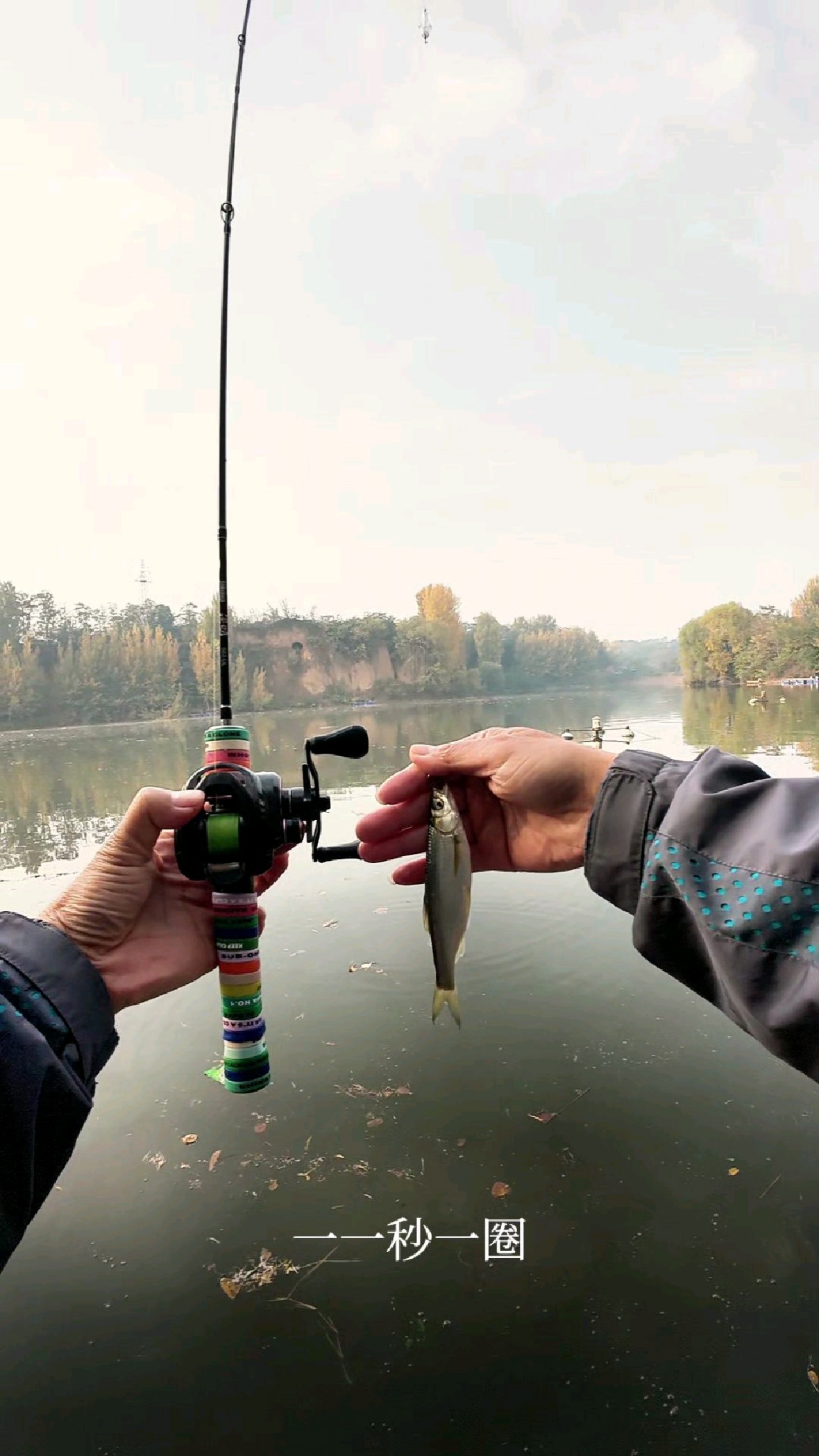 路亚亮片白条图片(路亚亮片是什么原理) 路亚亮片白条图片(路亚亮片是什么原理)