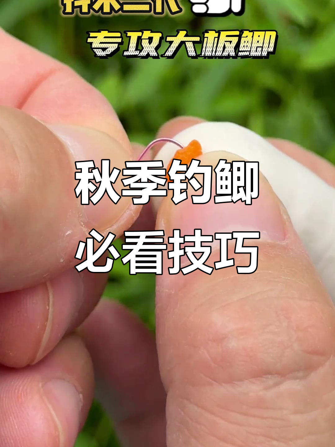 技巧钓轻口滑鲫的技巧(技巧钓轻口滑鲫的技巧是什么) 技巧钓轻口滑鲫的技巧(技巧钓轻口滑鲫的技巧是什么)