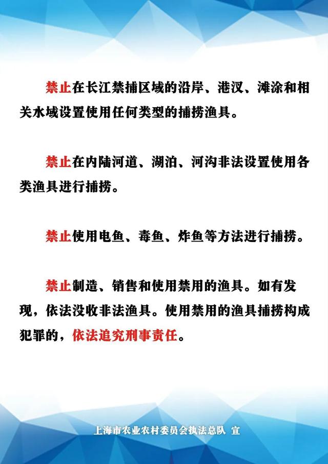 最新严禁渔具(2020最严禁渔令) 最新严禁渔具(2020最严禁渔令)