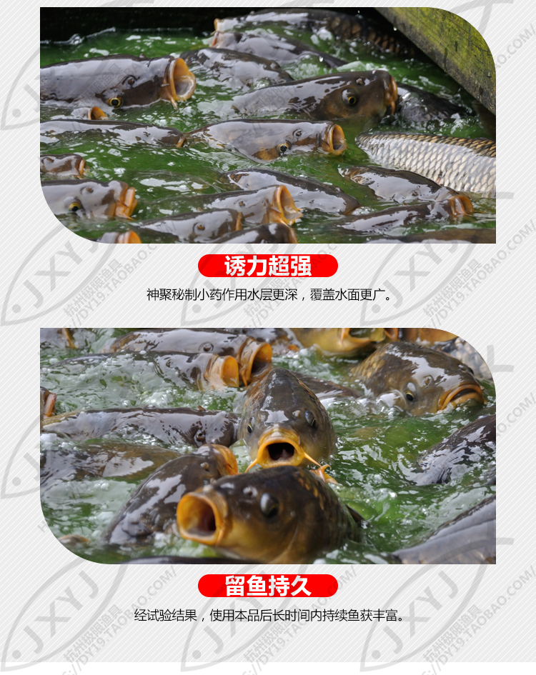 大麦凌饵料(大麦饵料钓鱼制作方法) 大麦凌饵料(大麦饵料钓鱼制作方法)