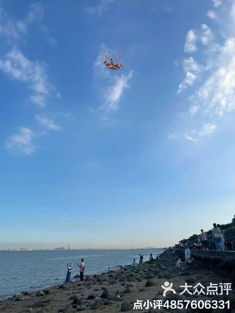 海鸥岛海钓点(海鸥岛哪个钓鱼场多大鱼) 海鸥岛海钓点(海鸥岛哪个钓鱼场多大鱼)