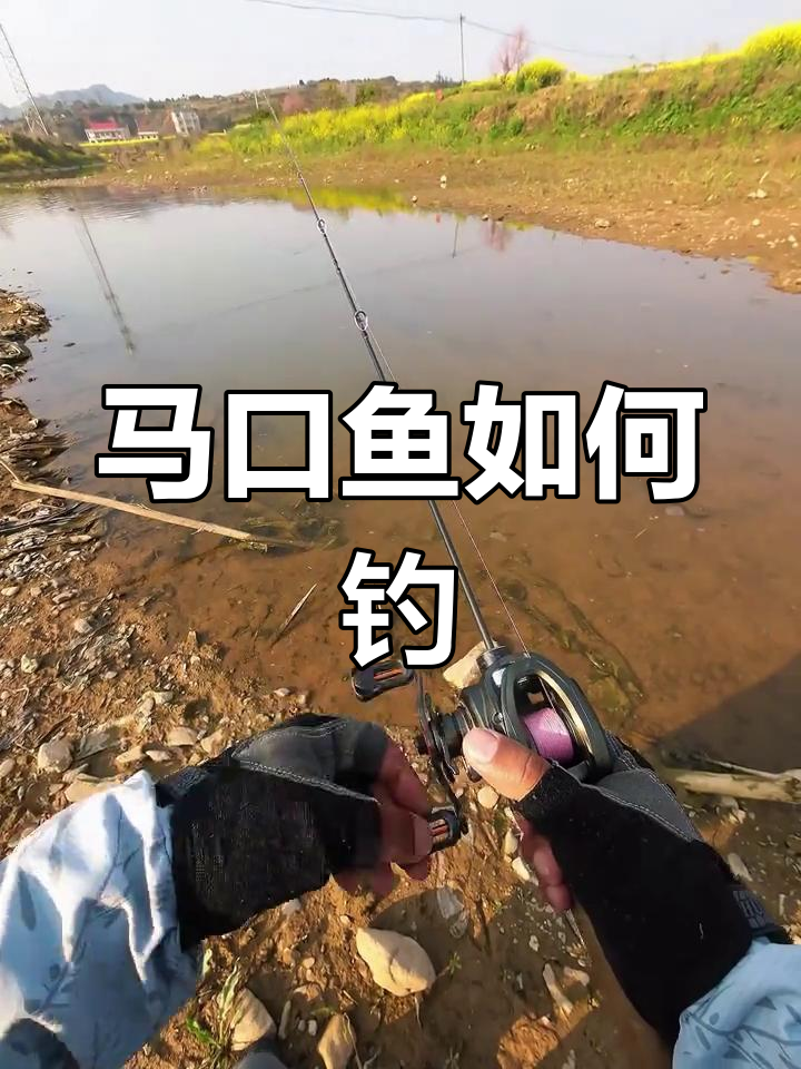 马口路亚技巧(马口路亚竿怎么用) 马口路亚技巧(马口路亚竿怎么用)