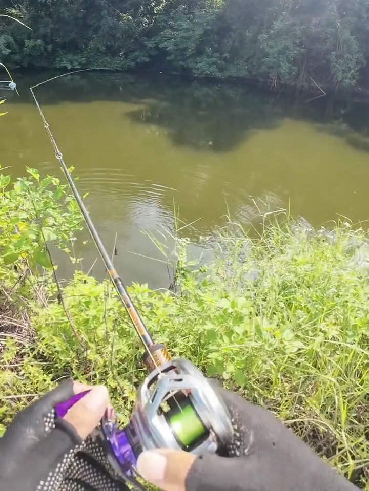 路亚钓水库(路亚钓水库用什么饵) 路亚钓水库(路亚钓水库用什么饵)